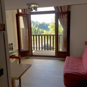 Appartement Le Praz De Lys